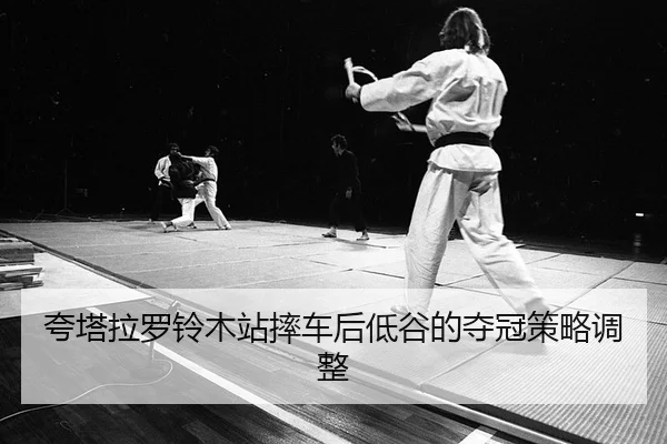 kua-ta-la-luo-ling-mu-zhan-shuai-che-hou-di-gu-de-duo-guan-ce-lve-tiao-zheng-1-865.jpg